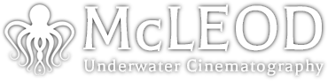 Underwater Director of Photography