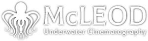Underwater Director of Photography